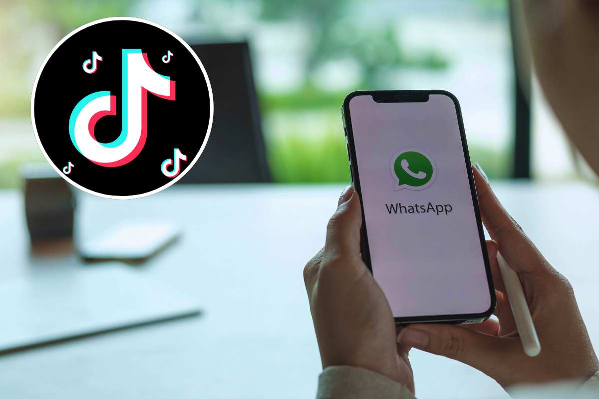 WhatsApp-TikTok